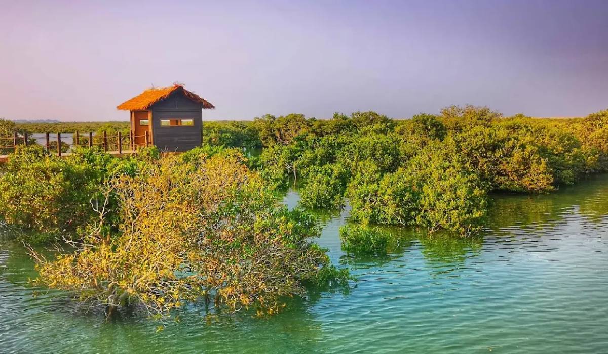 Top 6 Qatar Natural Tourist Spots